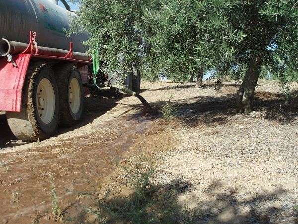 Gestion des déchets liquides des huileries par le biais de leur application aux terrains d'oliviers